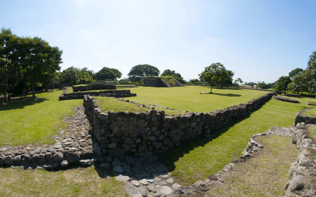 Grid Image