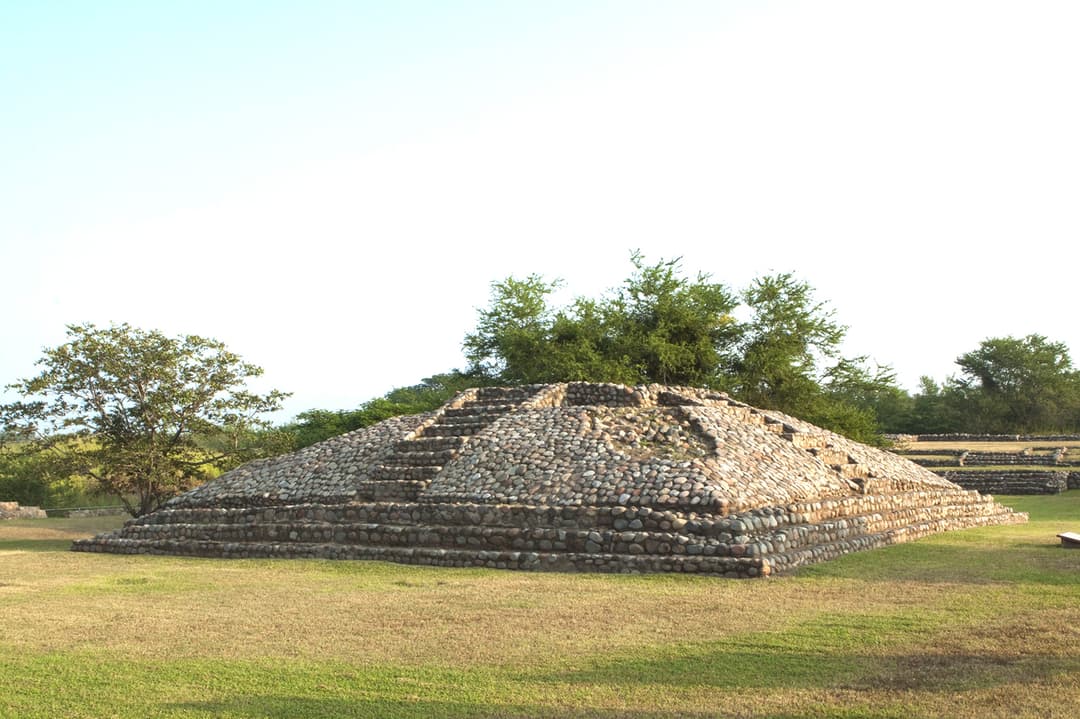 Grid Image