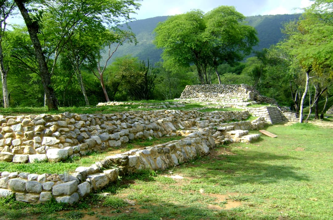 Grid Image