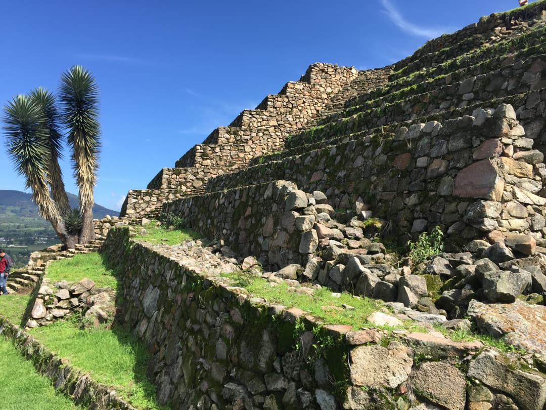 Grid Image