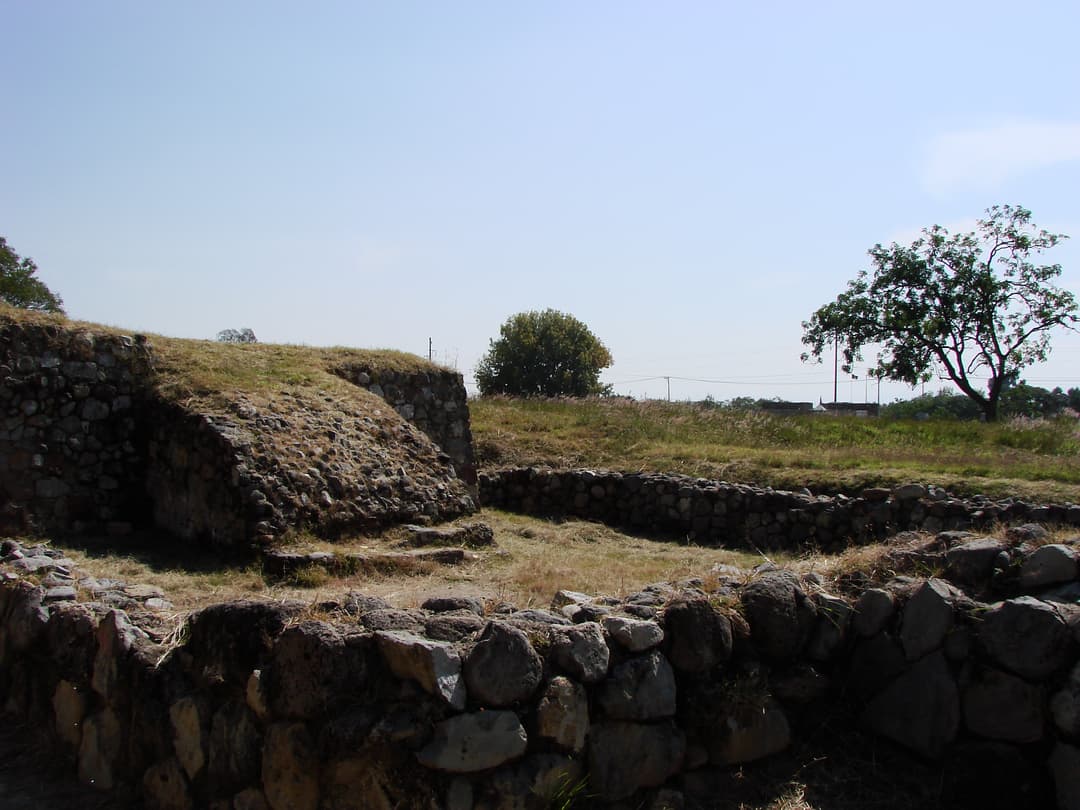 Grid Image