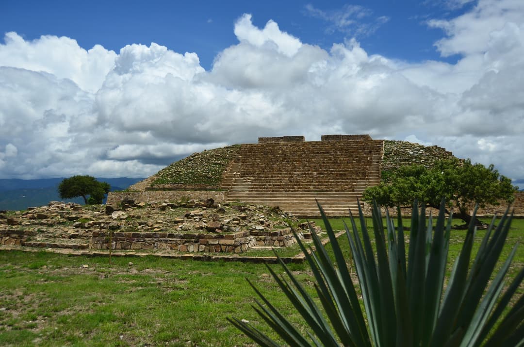 Grid Image