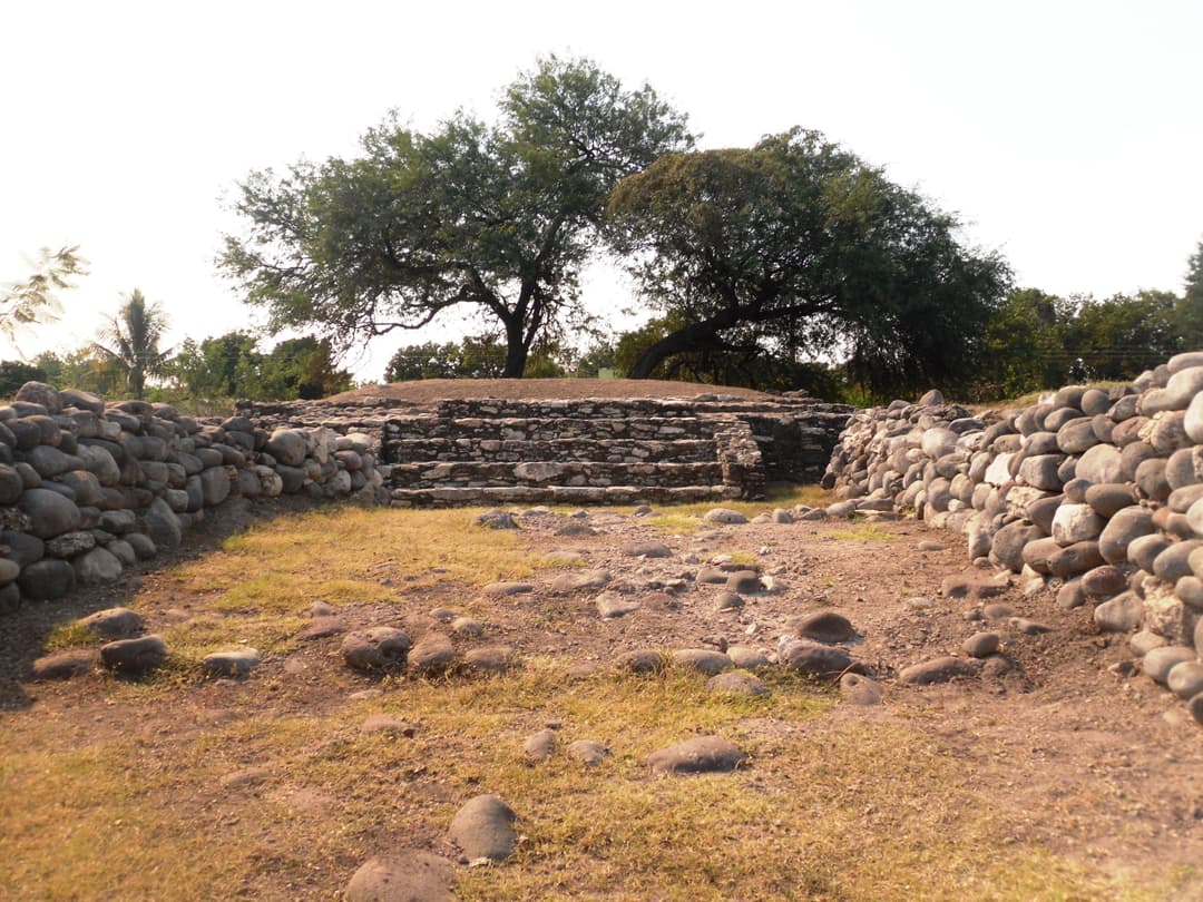Grid Image