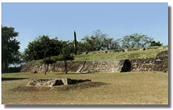 Grid Image