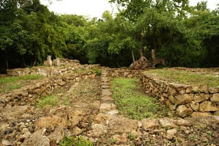Grid Image