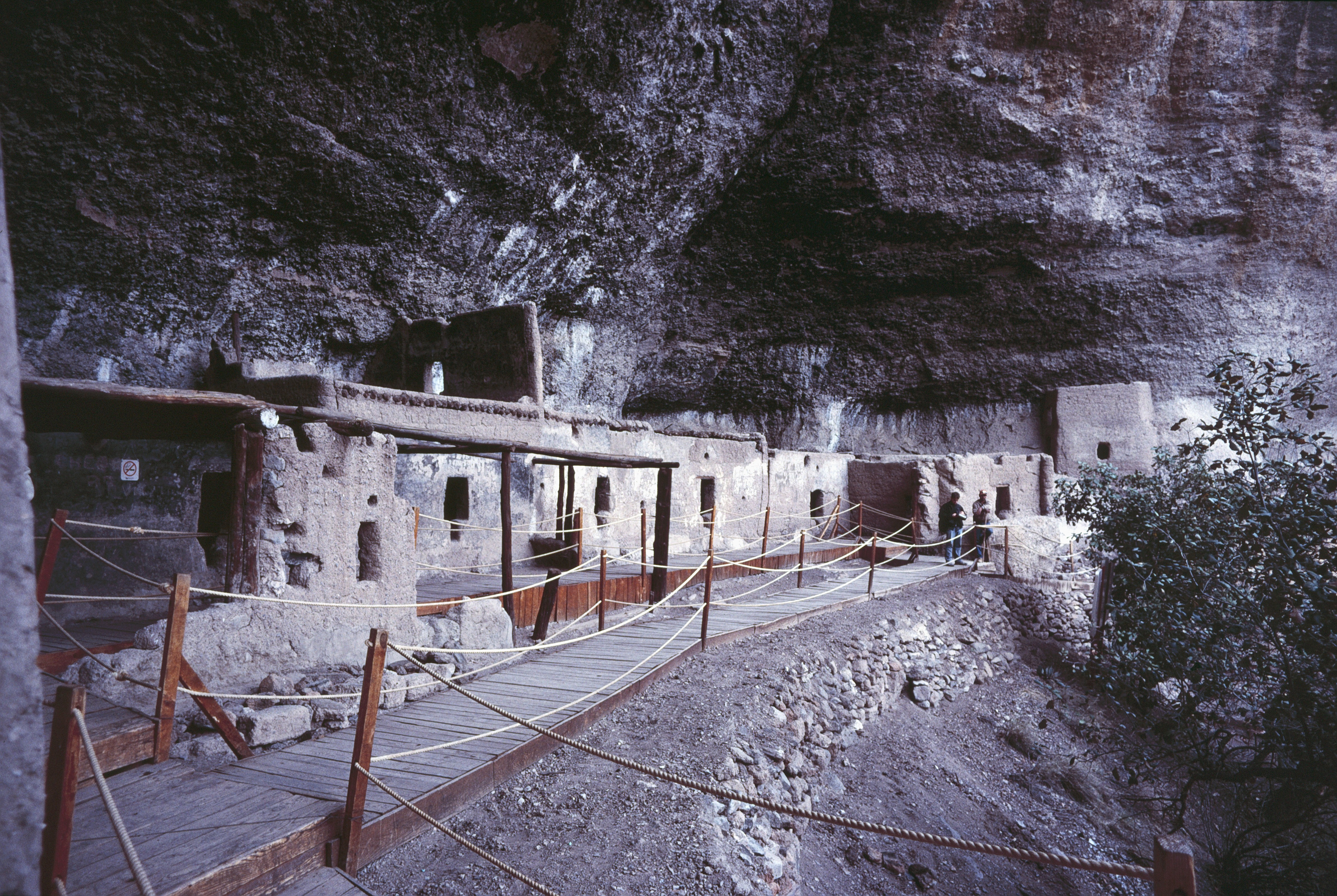Imagen de Cuarenta Casas
