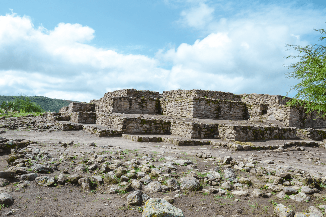 Grid Image