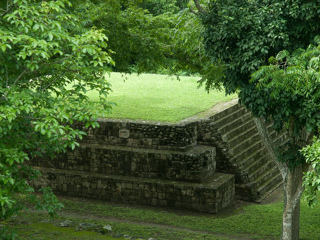 Grid Image